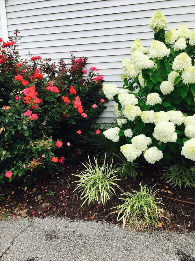 The Drake Inn Hampton Bays Exterior foto